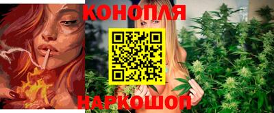 гидра Можайск